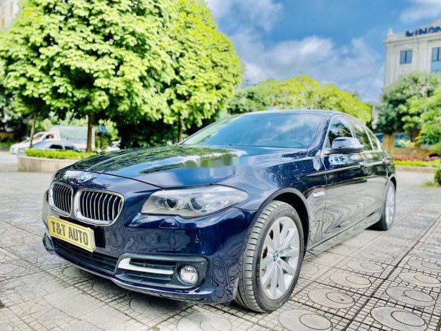 Bán xe BMW 5 Series 520i đời 2016, màu xanh lam, xe nhập0