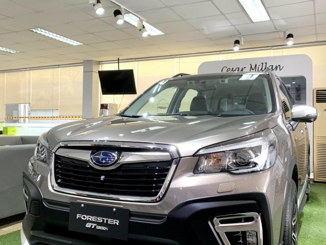 Subaru Forester GT Edition màu đồng 2020, mới hoàn toàn