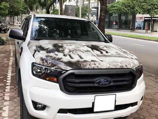 Bán xe Ford Ranger năm sản xuất 2019, màu trắng, xe nhập, giá 630tr