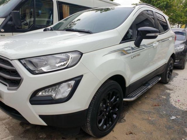 Xe Ford EcoSport sản xuất 2019, màu trắng còn mới0