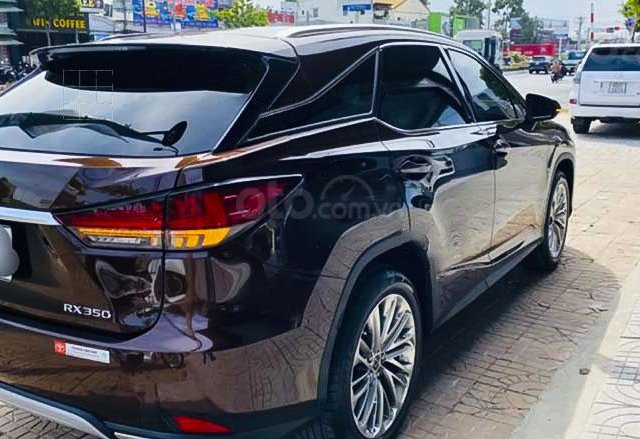 Cần bán xe Lexus RX 350 sản xuất 2019, màu nâu, xe nhập