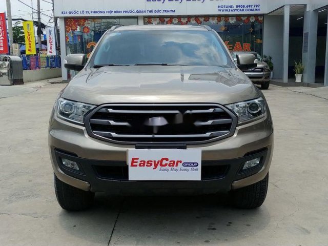 Cần bán Ford Everest năm 2018, màu ghi vàng