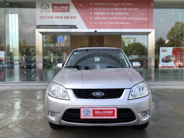 Bán ô tô Ford Escape năm 2013, màu bạc số tự động, giá tốt