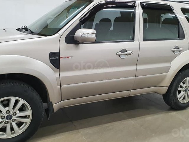 Bán xe Ford Escape sản xuất năm 2010, màu vàng cát0