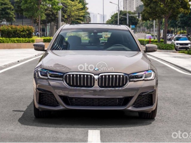 Cần bán BMW 530i sản xuất 2021, màu xám, xe nhập0