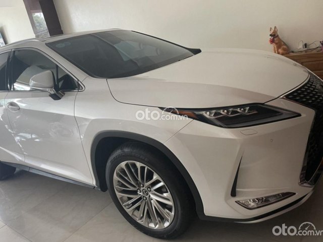 Cần bán gấp Lexus RX 300 đời 2020, màu trắng, nhập khẩu nguyên chiếc còn mới