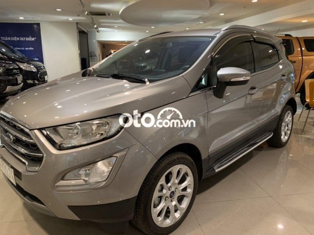 Xe Ford EcoSport năm sản xuất 2019, màu xám0