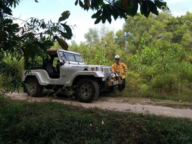 Mua bán Jeep Wrangler Sahara 1975 giá 150 triệu - 11912309