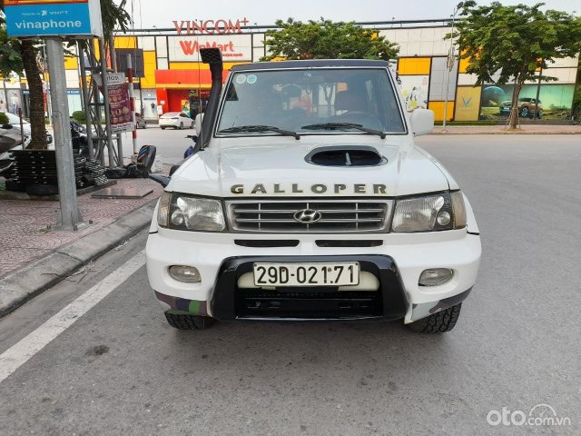 HYUNDAI GALLOPER 25 TDI LWB  Kleyn Vans