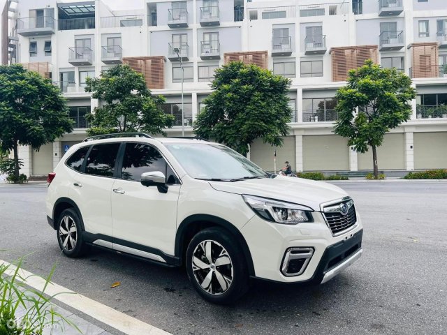 Màu trắng, giá hữu nghị4