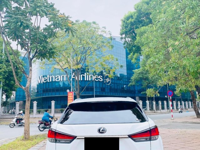 Biển Hà Nội siêu đẹp11