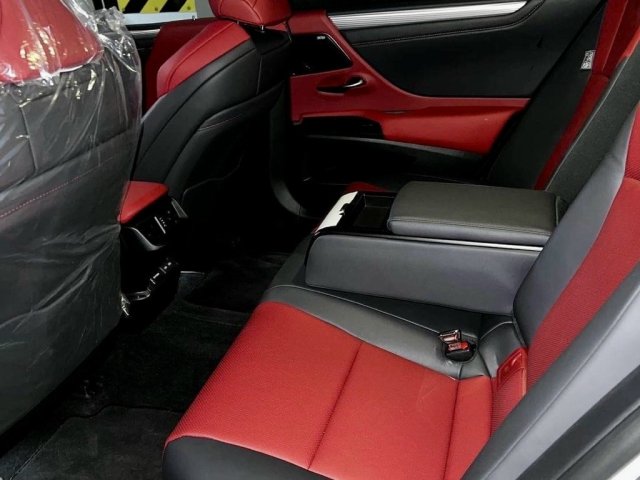 F Sport 20224