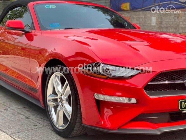 Xe lướt siêu đẹp4