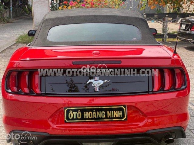 Xe lướt siêu đẹp8
