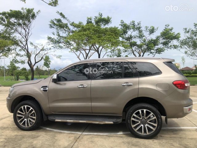 Màu nâu, xe nhập1