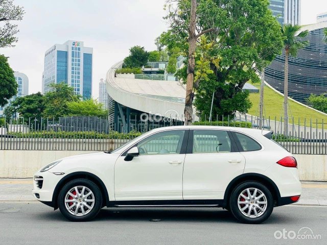 Một chủ mua từ mới2
