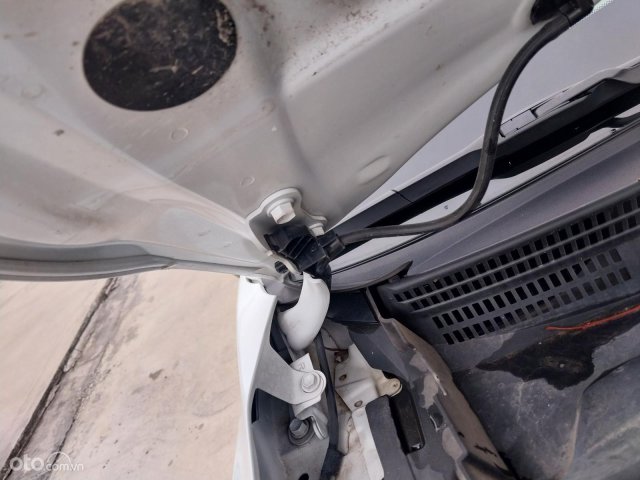 Xe màu trắng20