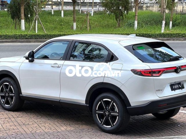 Xe màu trắng, xe nhập1