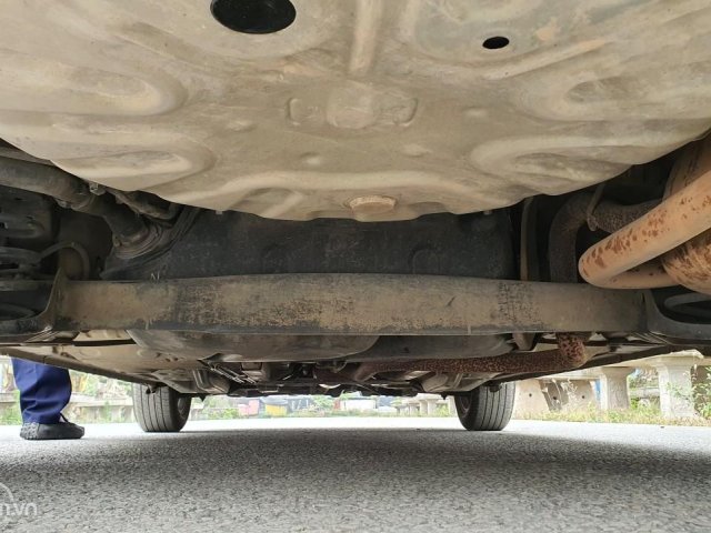 Cập bến Hải Phòng, giá rẻ như cho4