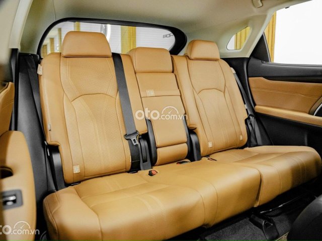 Xe đẹp, bao check hãng toàn quốc4