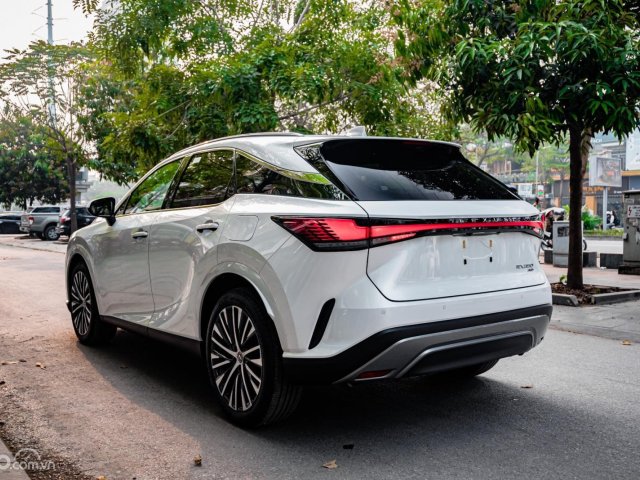 Xe mới 100%5