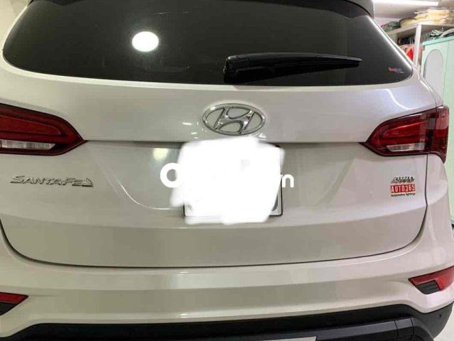 xe gia đình đi kĩ bão dưỡng định kì1