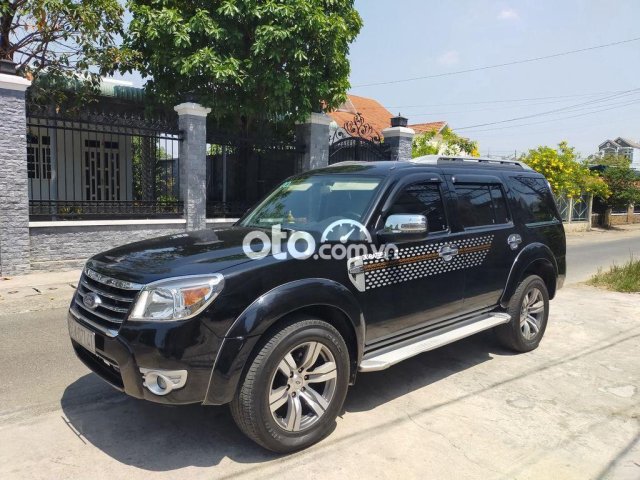 Everest Dòng Cao Cấp Số Tự Động5