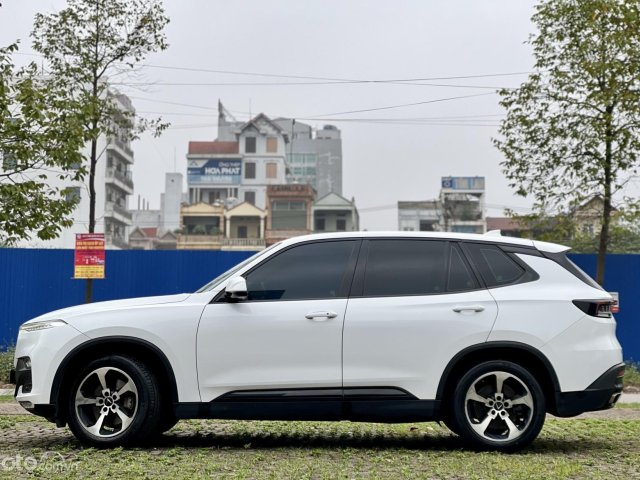 Màu trắng giá hữu nghị5