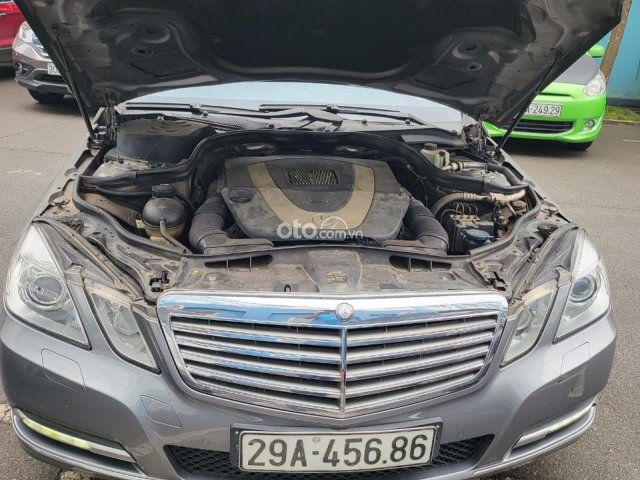 Ảnh số 5
