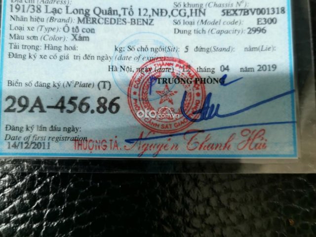 Ảnh số 11