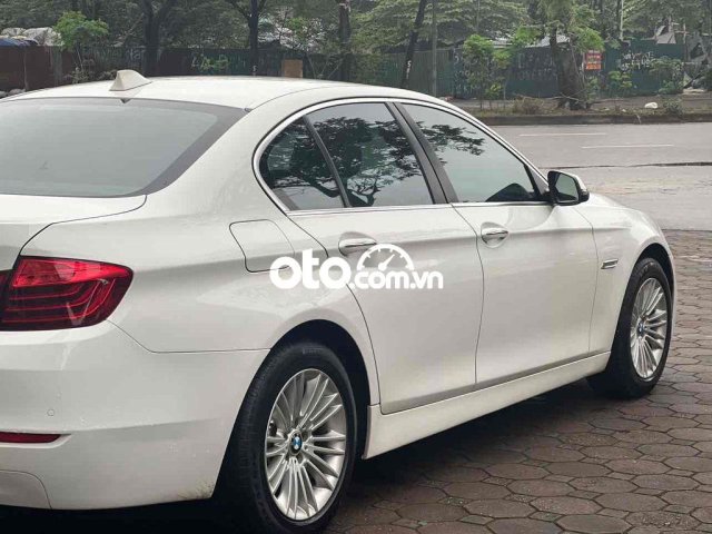 BMW 520i sx 2015 bản cửa Hit0