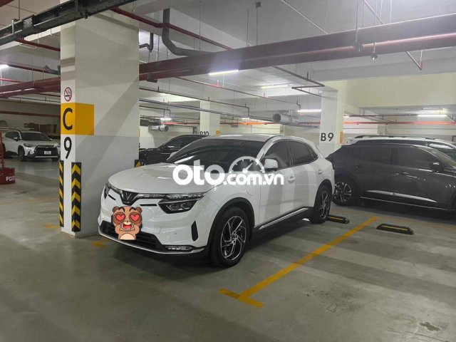 Bán V8 ECO giá 800 triệu0