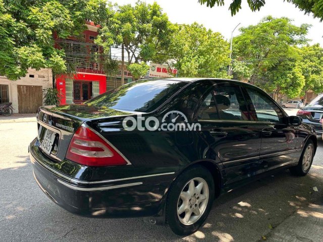 Ảnh số 2