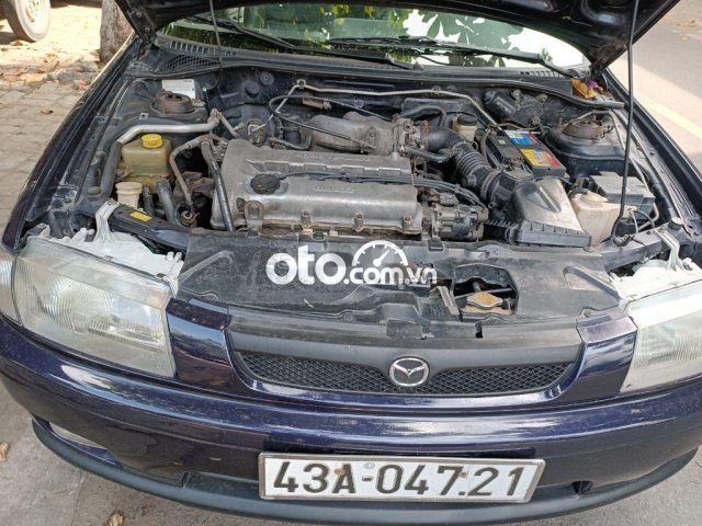 Ảnh số 8