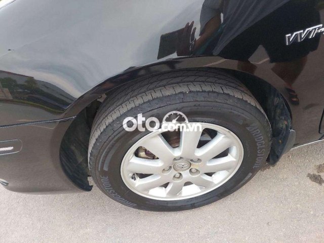 Ảnh số 11