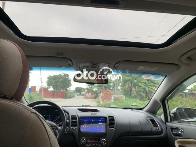 Ảnh số 7