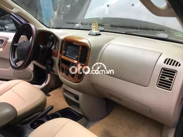 Ảnh số 7