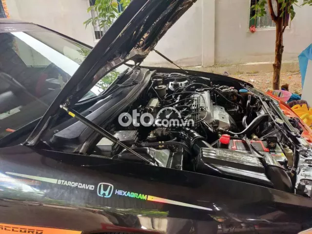 Ảnh số 8