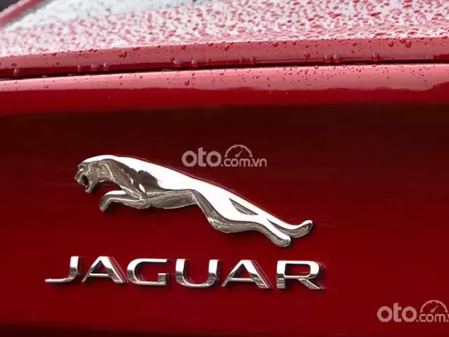 Jaguar.