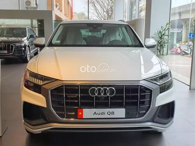 Giá xe Audi Q8 2019 1