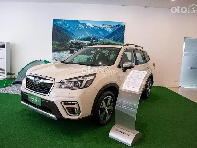 subaru forester 2019.
