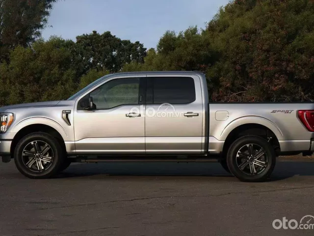 Đánh giá nhanh xe Ford F-150.