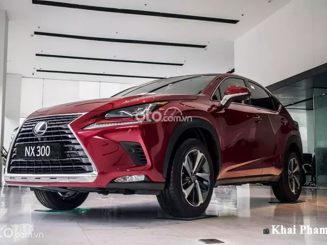 Thông tin xe Lexus NX300.