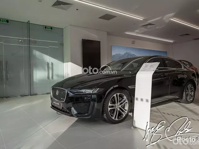 Jaguar.