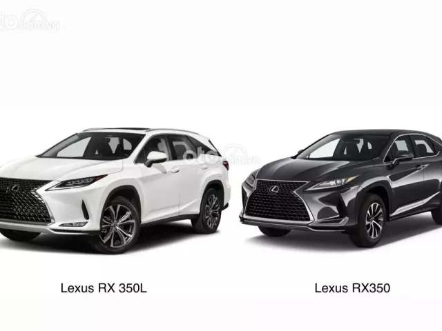 Tổng quan xe Lexus RX350 2020 Tổng quan xe Lexus RX350 2020.