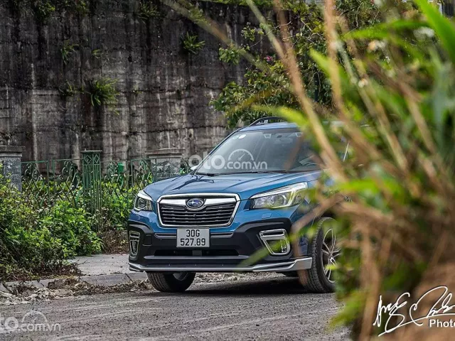 Có nên mua xe Subaru Forester cũ không? 1