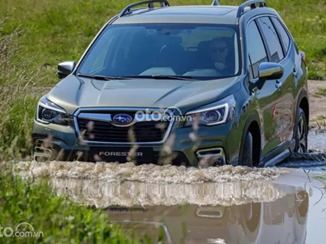 Có nên mua xe Subaru Forester 2020 cũ không?.