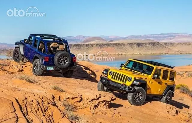 xe Jeep Wrangler 2020 .