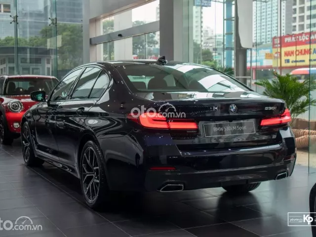 Có nên mua xe BMW 530i 2019 cũ? 1