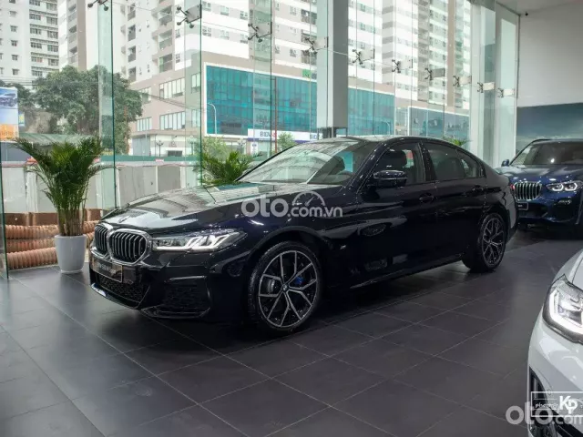 Thông tin xe BMW 530i 2019 1